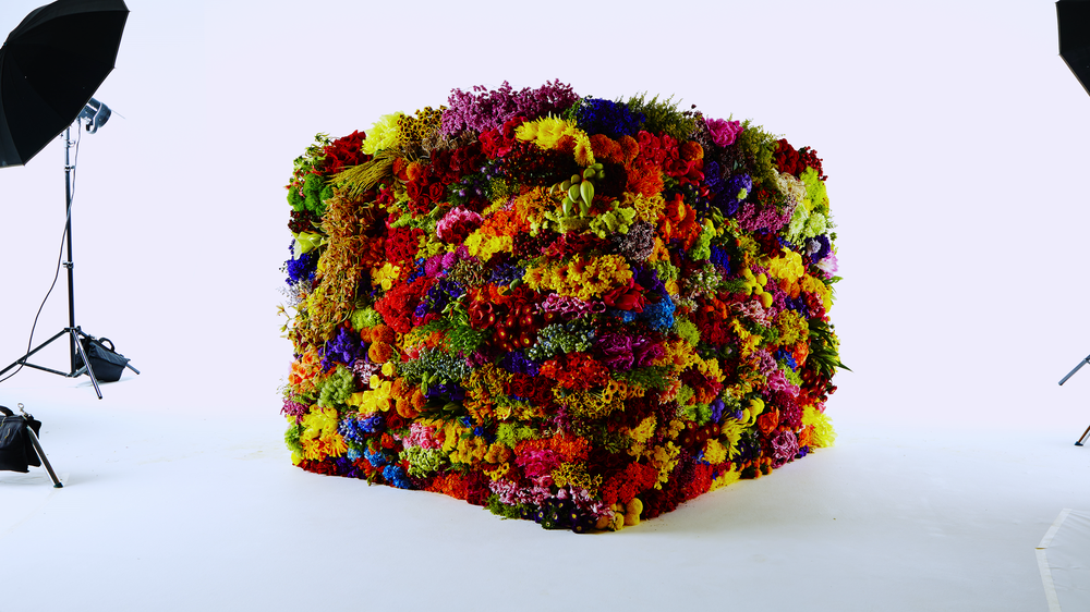 Flower Punk — Alison Klayman